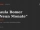 Titelgrafik zum Roman Neun Monate von Paula Bomer, 2015