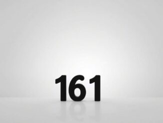 Was bedeutet 161