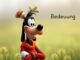 Was bedeutet Goofy