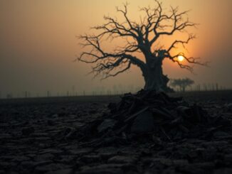 Woher kommt der Spruch Asche zu Asche