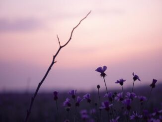 Woher kommt der Spruch Lila, der letzte Versuch